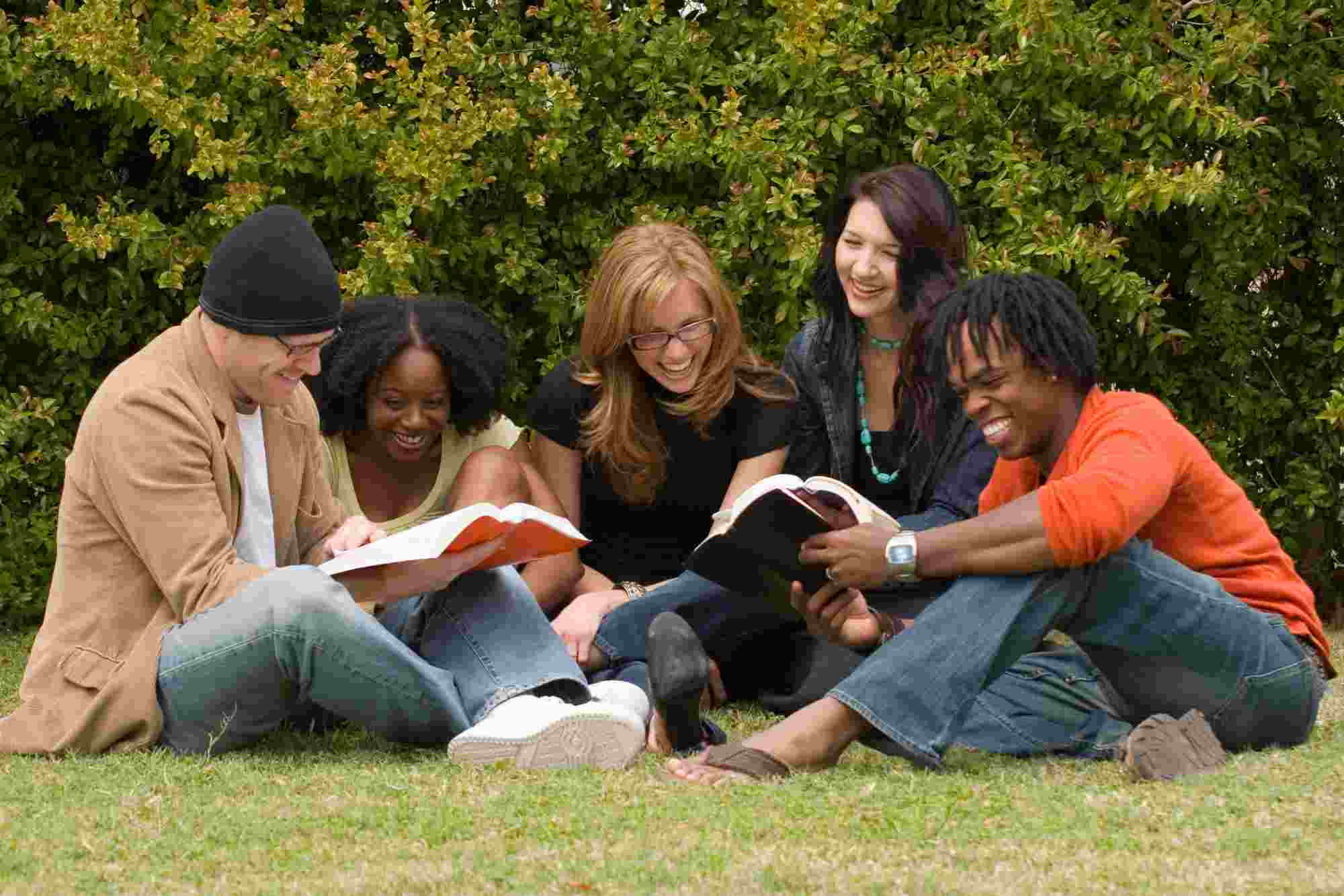 Group of Students Studying in Park